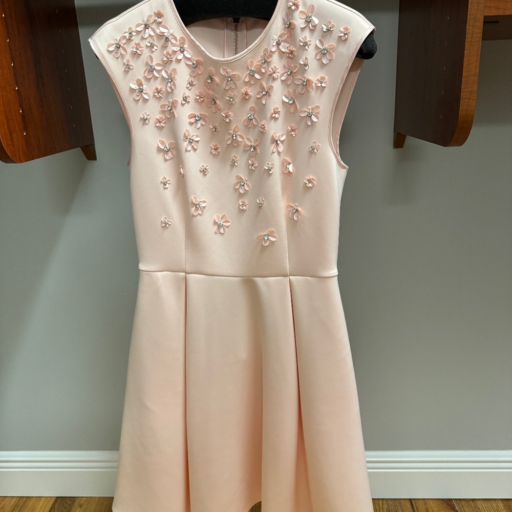 Ted Baker Skater Dress with pockets Size 1